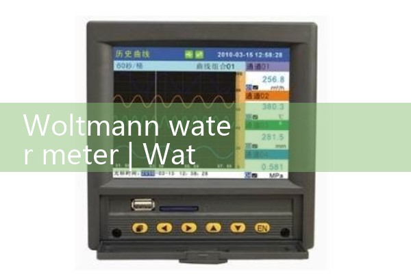 woltmann water meter